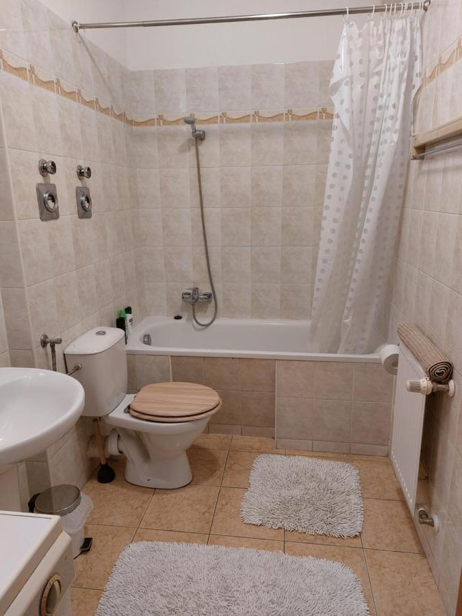 Flat At The Edge Of The Center + Parking Apartment Budapest